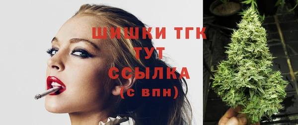 прущие грибы Баксан