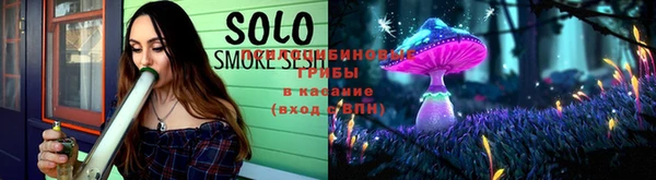 прущие грибы Баксан
