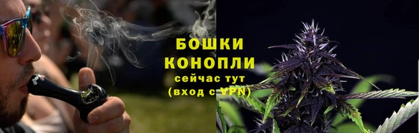 прущие грибы Баксан