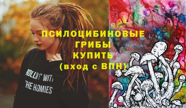 прущие грибы Баксан
