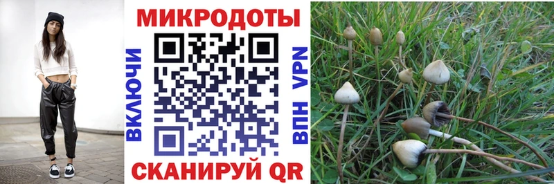 Псилоцибиновые грибы GOLDEN TEACHER  MEGA сайт  Вилючинск 